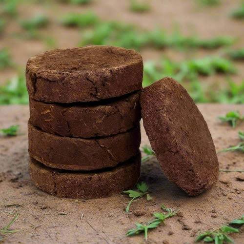 Cow Dung Fertilizer Powder