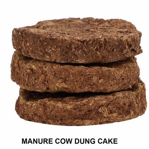 Cow Dung Bio Gas